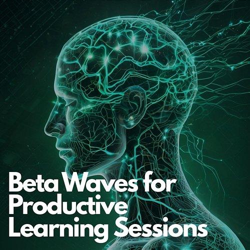 Study Frequency: Beta Waves for Productive Learning Sessions Deep Concentration Beta Waves TP, Study Beta Frequencies TP