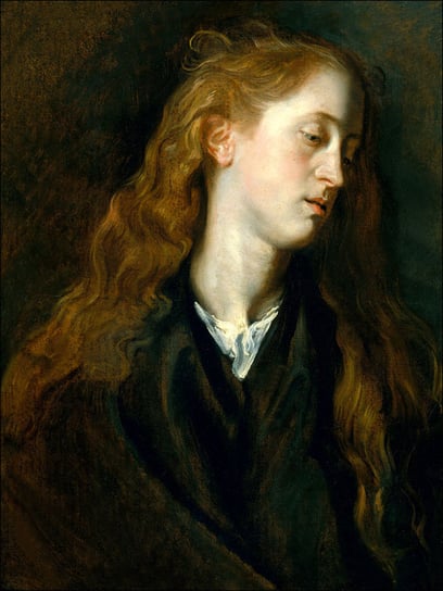 Study Head of a Young Woman, Anthony van Dyck - pl / AAALOE Inna marka