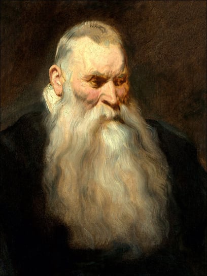 Study Head of an Old Man with a White Beard, Antho / AAALOE Inna marka