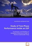 Study Of Two-Phase Performance Inside An ESP Barrios Lissett