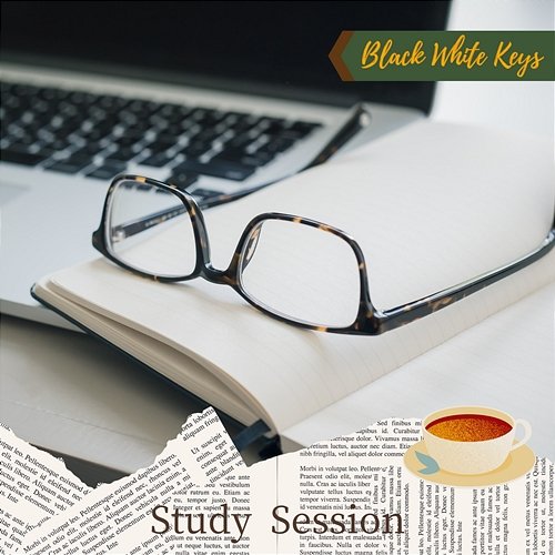 Study Session Black White Keys