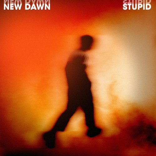 Stupid New Dawn