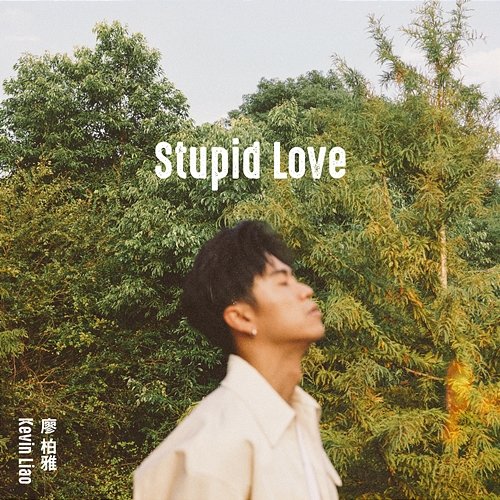 Stupid Love Kevin Liao