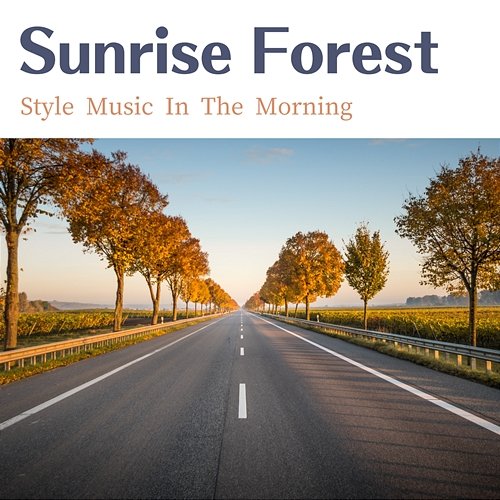 Style Music in the Morning Sunrise Forest