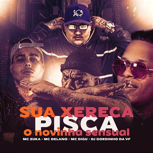 Sua Xereca Pisca, O Novinha Sensual MC Zuka, DJ GORDINHO DA VF, & MC Digu feat. Delano