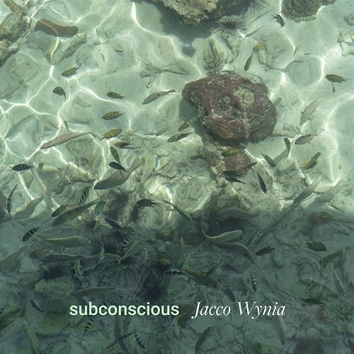 subconscious Jacco Wynia