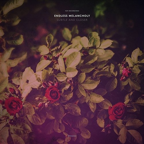 Subtle and Closer Endless Melancholy