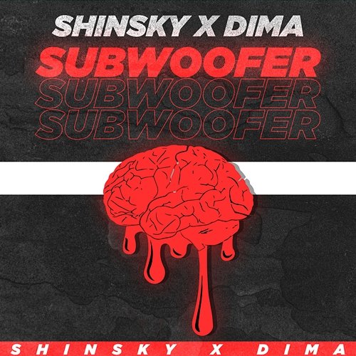 Subwoofer SHINSKY x DIMA