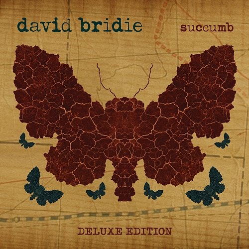 Succumb David Bridie