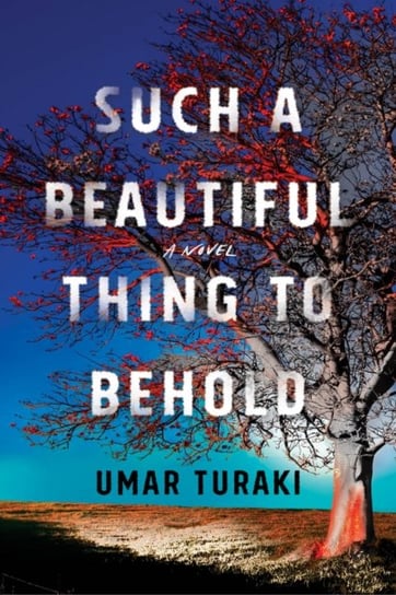 Such a Beautiful Thing to Behold: A Novel Umar Turaki