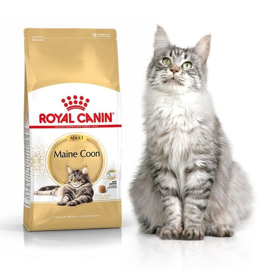 Sucha karma dla kota, Royal Canin Maine Coon 2kg Royal Canin