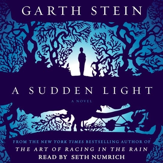 Sudden Light Stein Garth