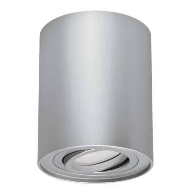 Sufitowa LAMPA downlight HARY 03712 Ideus okrągła OPRAWA metalowa tuba spot natynkowy srebrny IDEUS