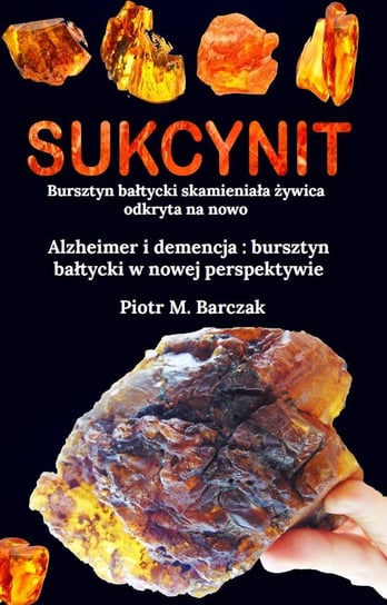 Sukcynit. Bursztyn bałtycki skamieniała żywica odkryta na nowo Piotr M. Barczak