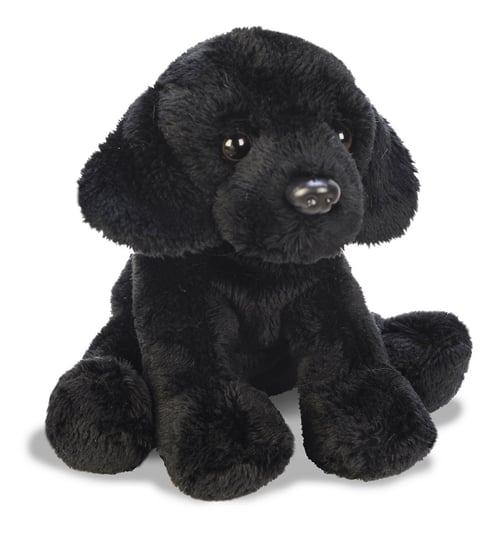Suki, maskotka Labrador siedzący, czarny Suki