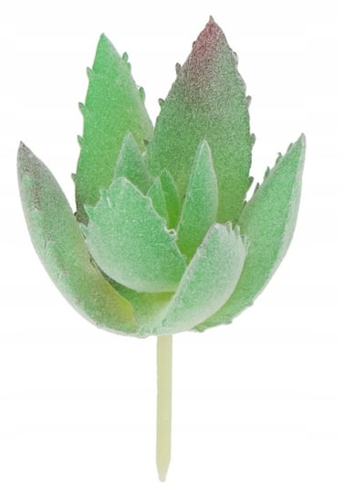 Sukulent Sukulenty Mini Kaktus Sztuczne Kwiaty Inna producent