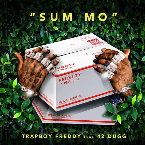 Sum Mo Trapboy Freddy feat. 42 Dugg