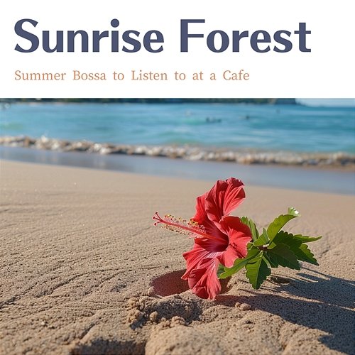 Summer Bossa to Listen to at a Cafe Sunrise Forest