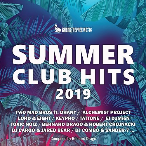 Summer Club Hits 2019 Various Artists