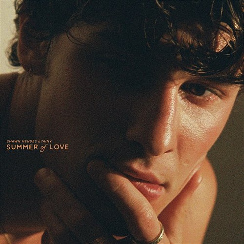 Summer Of Love Shawn Mendes, Tainy