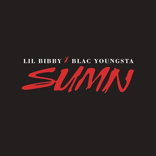 Sumn Lil Bibby feat. Blac Youngsta