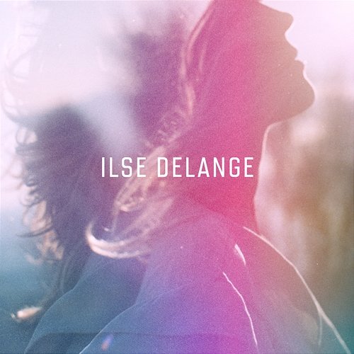 Sun & Shadow Ilse DeLange