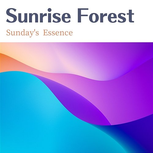 Sunday's Essence Sunrise Forest