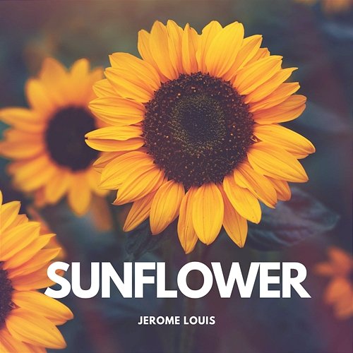 Sunflower Jerome Louis