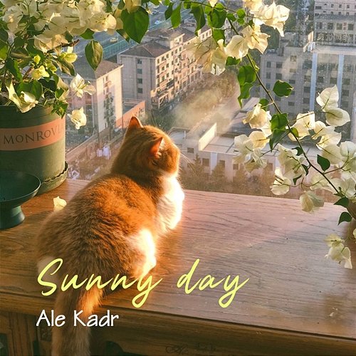 Sunny day Ale Kadr
