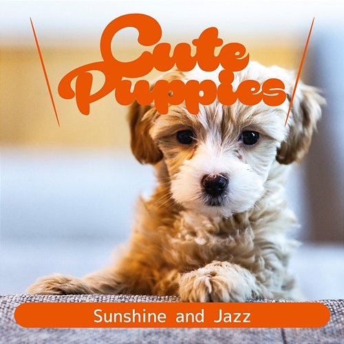 Sunshine and Jazz Cute Puppies