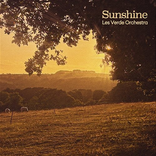 Sunshine Les Verde Orchestra