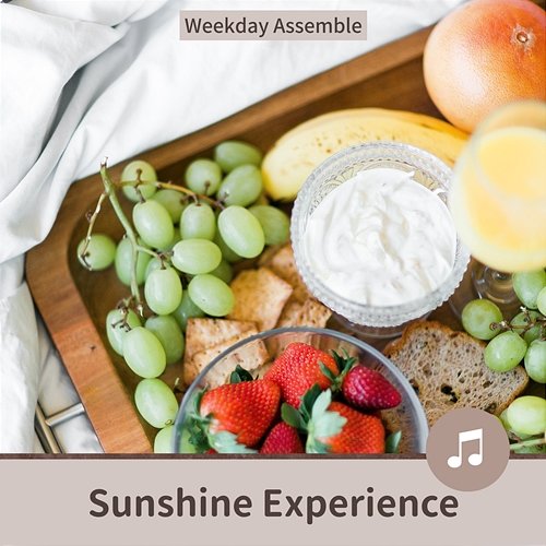 Sunshine Experience Weekday Assemble
