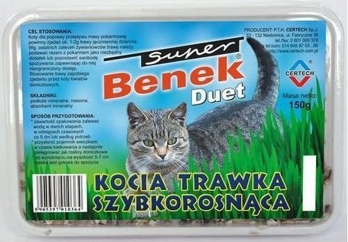SUPER BENEK Trawka szybkorosnąca "DUET" dla kota 150g w plastikowym pudełku Super Benek
