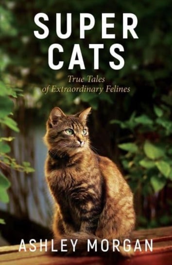 Super Cats: Inspirational True Tales of Real-Life Cat Heroes That Will Melt Your Heart Octopus Publishing Group