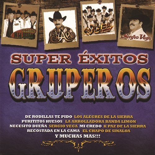 Super Exitos Gruperos Various Artists