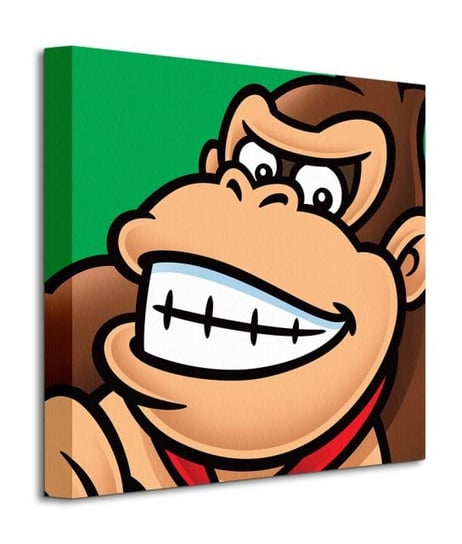 Super Mario Donkey Kong - obraz na płótnie Super Mario Bros