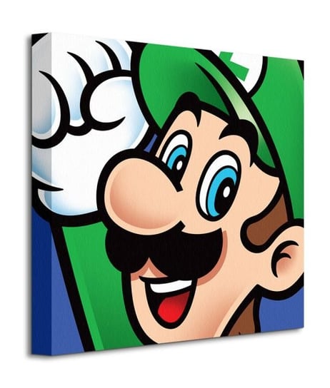 Super Mario Luigi - obraz na płótnie Super Mario Bros