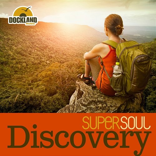 Super Soul: Discovery Various Artists