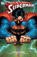 Superman Savage Dawn Tomasi Peter J.