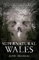 Supernatural Wales Nicholas Alvin