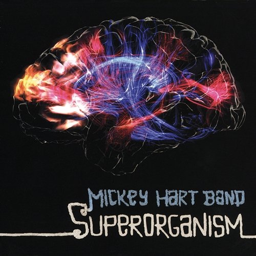 Superorganism Mickey Hart Band
