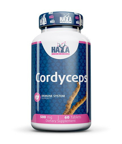 Suplement diety, Haya Labs, Cordyceps 500 mg - 60 kaps. Haya Labs
