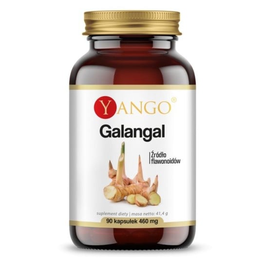 Suplement diety, Yango Galangal 90 k źródło flawonoidów Yango