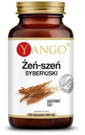 Suplement diety, Yango Żeń-Szeń Syberyjski 120 Kap. Sprawny umysł Yango
