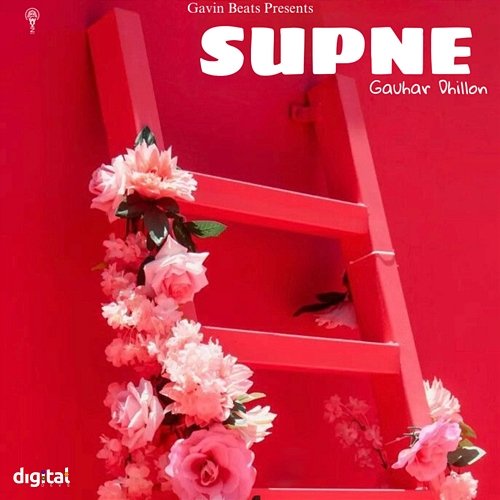 Supne Gauhar Dhillon & Gavin Beats