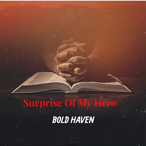 Surprise Of My Hero Bold Haven