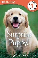 Surprise Puppy! Walker-Hodge Judith, Hodge Judith
