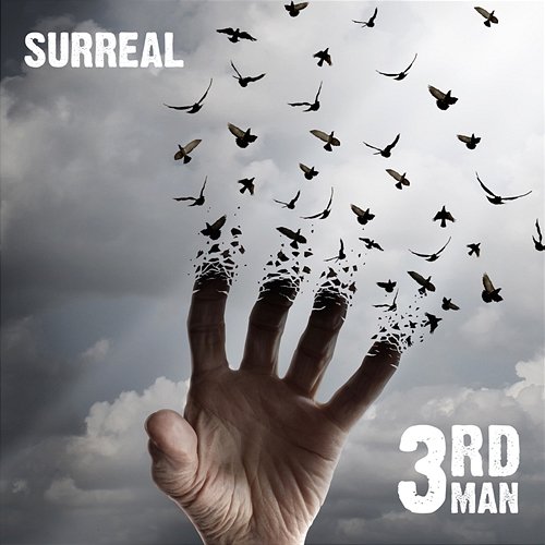 Surreal (Radio Edit) 3RD MAN