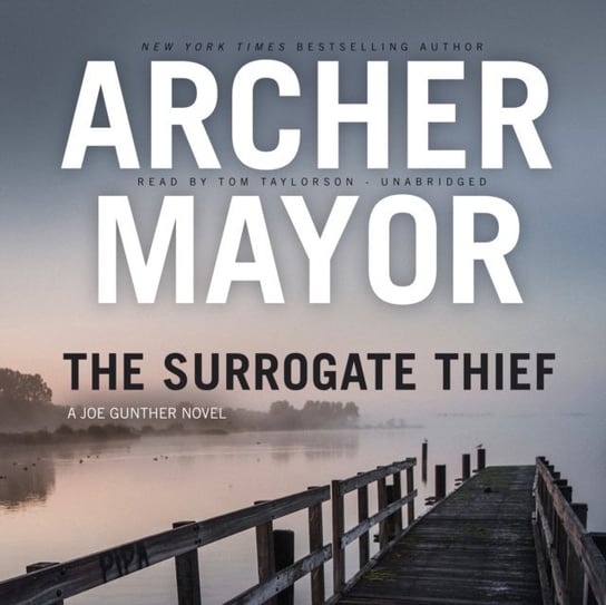 Surrogate Thief Mayor Archer