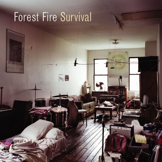 Survival Forest Fire